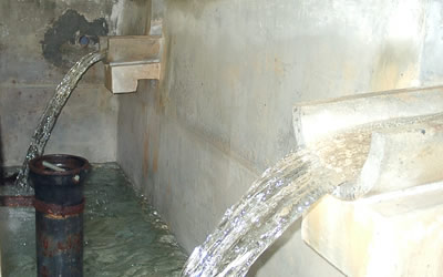 Überprüfung der Wasserqualität