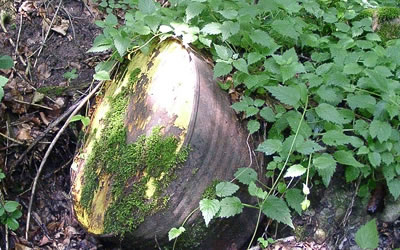 Abklärungen von Altlasten-Verdachtsflächen